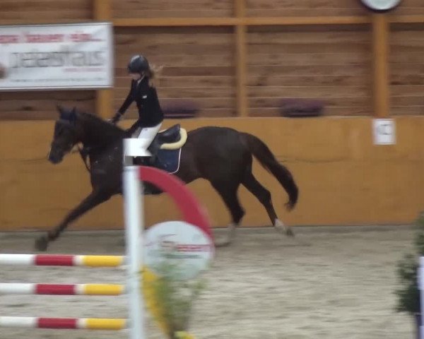 Reitturnier Xanten 2017
