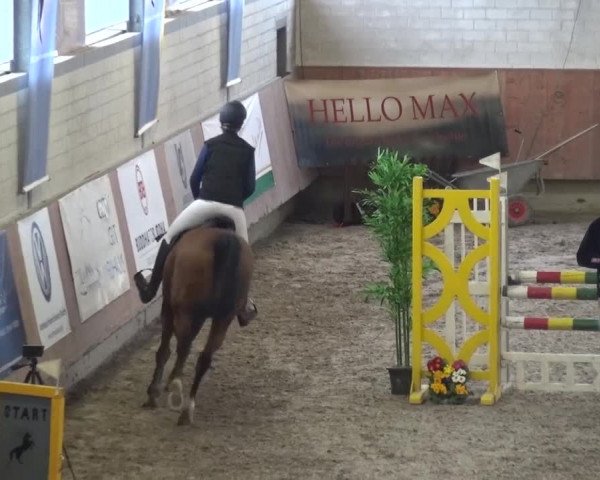 Reitturnier Grevenbroich - Gut Neuhaus 2017