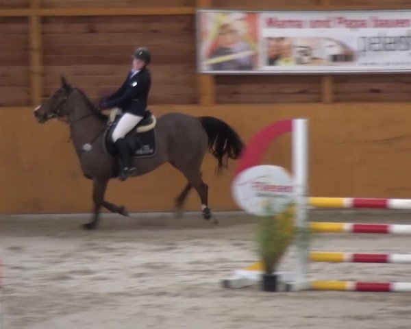 Reitturnier Xanten 2017