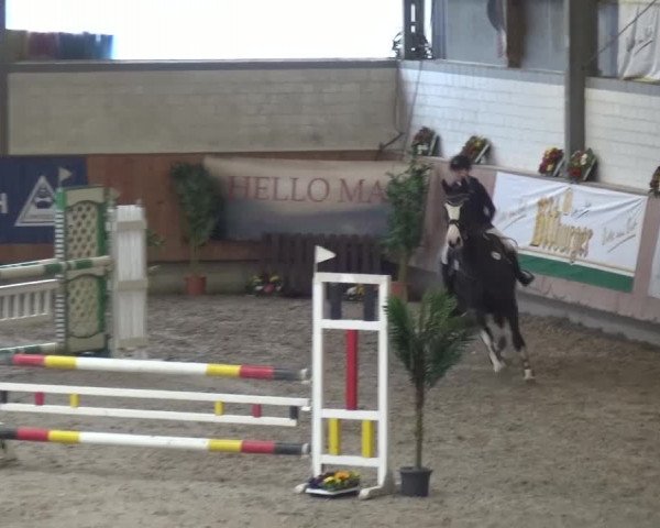 Reitturnier Grevenbroich - Gut Neuhaus 2017