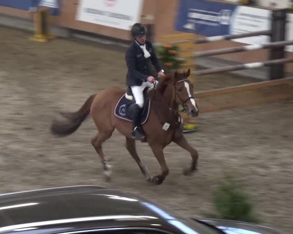 Reitturnier Grevenbroich - Gut Neuhaus 2017
