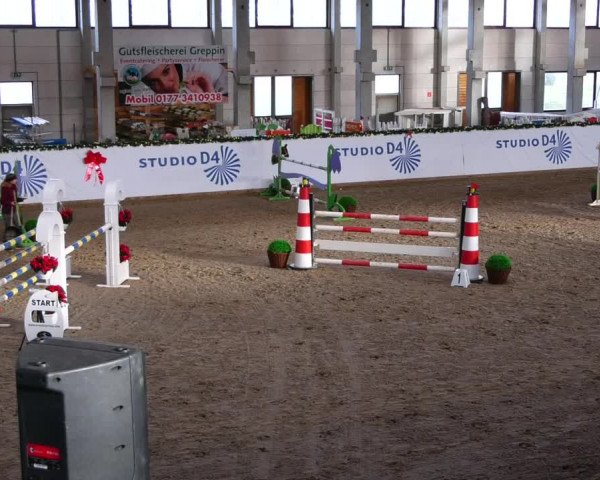 Christmas Jumping Trophy Prussendorf 2021