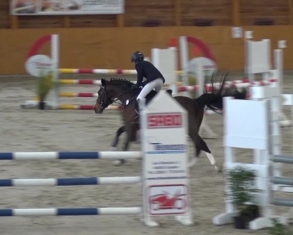 Reitturnier Xanten 2017