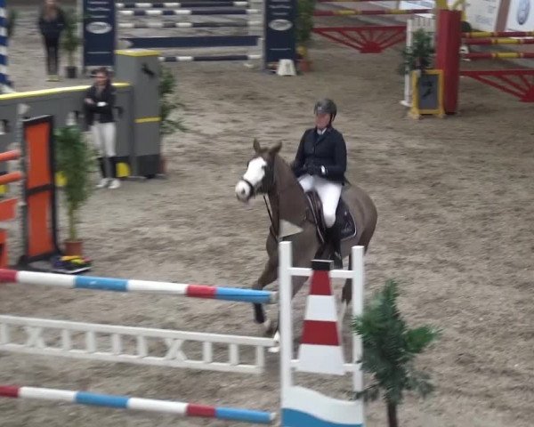 Reitturnier Grevenbroich - Gut Neuhaus 2017