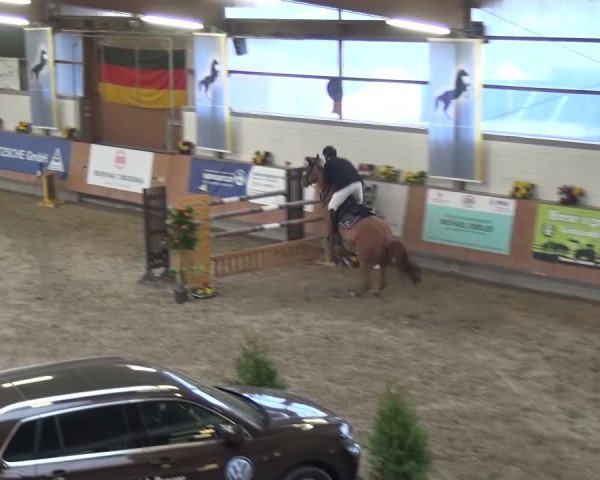 Reitturnier Grevenbroich - Gut Neuhaus 2017