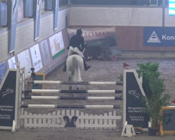 Reitturnier Grevenbroich - Gut Neuhaus 2017