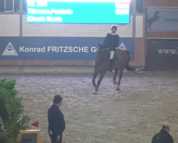 Reitturnier Grevenbroich - Gut Neuhaus 2017