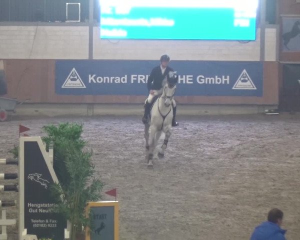 Reitturnier Grevenbroich - Gut Neuhaus 2017