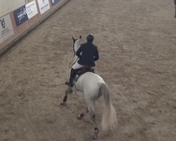 Reitturnier Grevenbroich - Gut Neuhaus 2017
