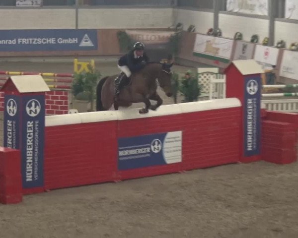 Reitturnier Grevenbroich - Gut Neuhaus 2017