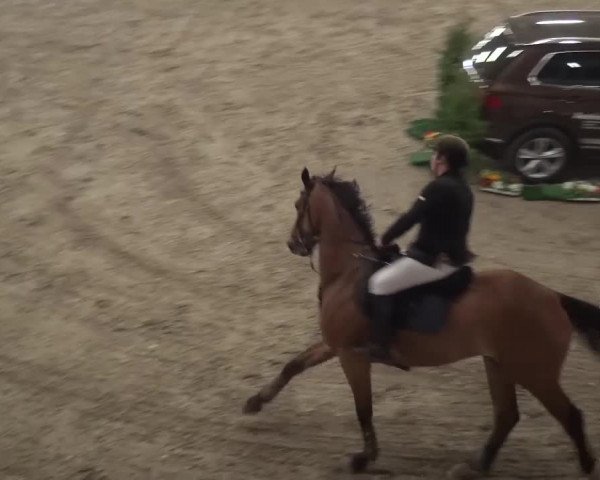 Reitturnier Grevenbroich - Gut Neuhaus 2017