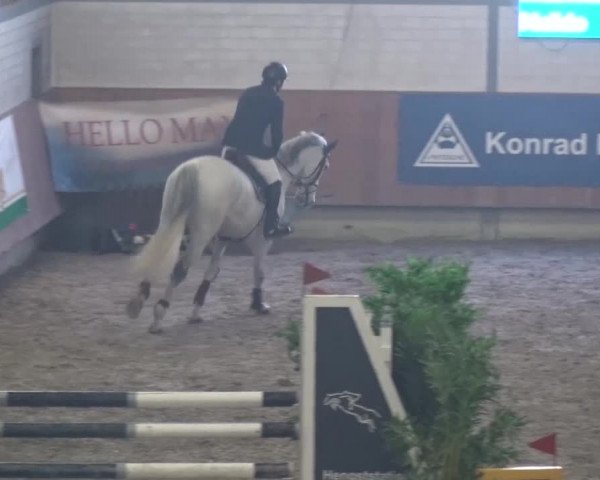 Reitturnier Grevenbroich - Gut Neuhaus 2017
