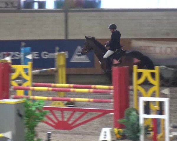 Reitturnier Grevenbroich - Gut Neuhaus 2017