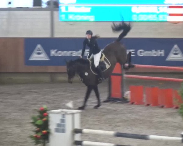 Reitturnier Grevenbroich - Gut Neuhaus 2017