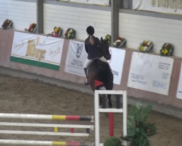 Reitturnier Grevenbroich - Gut Neuhaus 2017