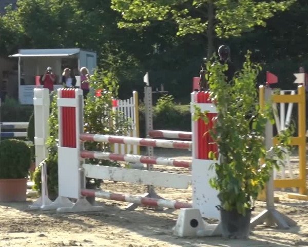 Sommerturnier Lohmar-Hausdorp 2015