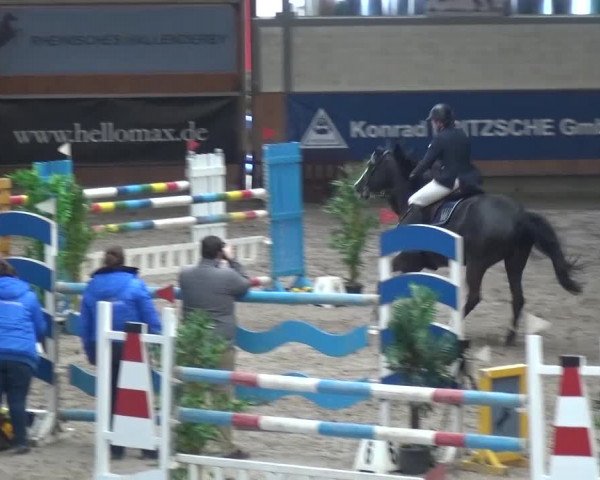 Reitturnier Grevenbroich - Gut Neuhaus 2017