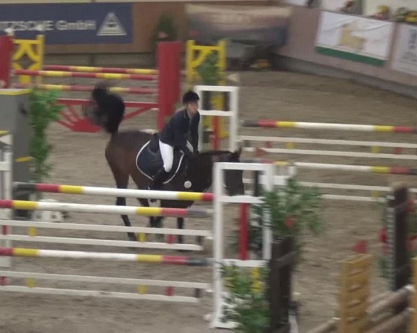 Reitturnier Grevenbroich - Gut Neuhaus 2017