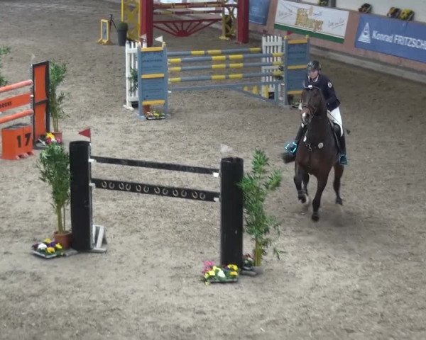 Reitturnier Grevenbroich - Gut Neuhaus 2017