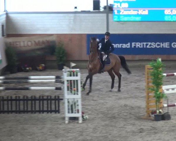 Reitturnier Grevenbroich - Gut Neuhaus 2017