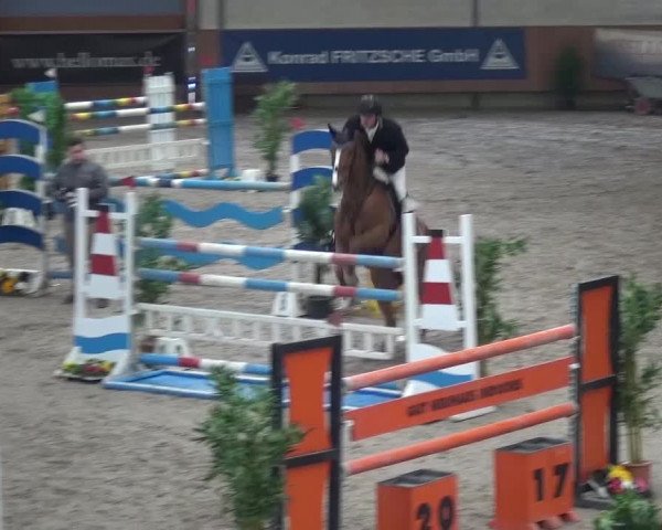 Reitturnier Grevenbroich - Gut Neuhaus 2017