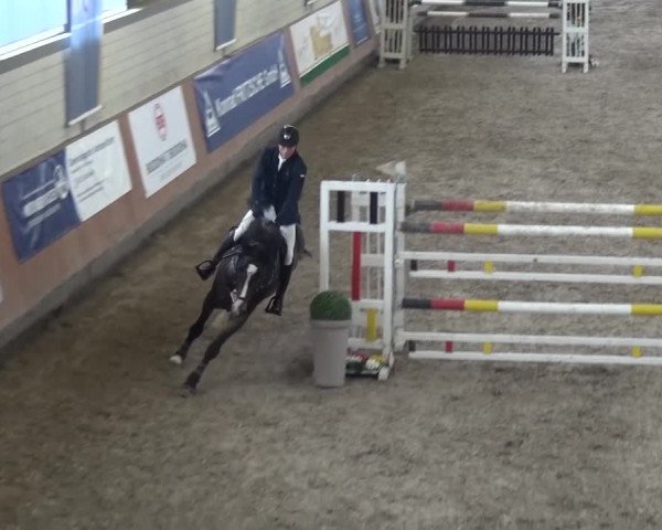Reitturnier Grevenbroich - Gut Neuhaus 2017
