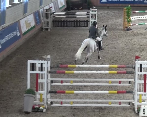 Reitturnier Grevenbroich - Gut Neuhaus 2017