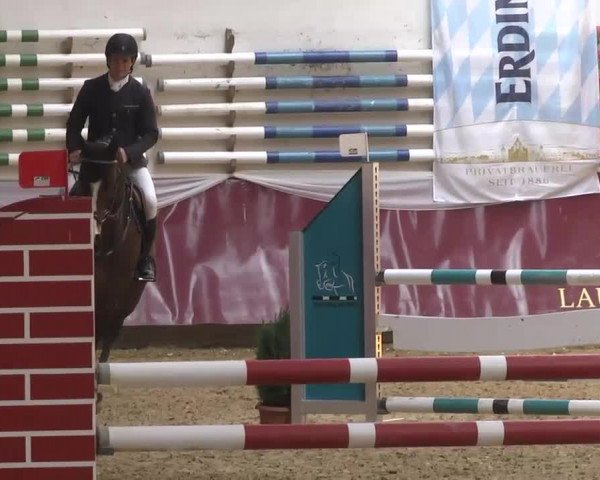 Reitturnier Eicherloh RH Laurent 2017