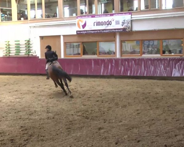 Reitturnier Eicherloh RH Laurent 2017
