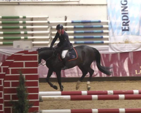 Reitturnier Eicherloh RH Laurent 2017