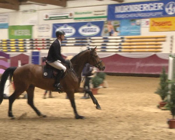 Reitturnier Eicherloh RH Laurent 2017