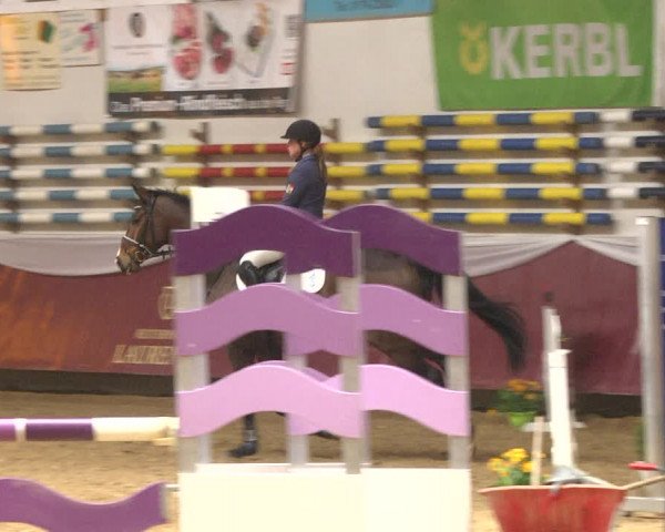 Reitturnier Eicherloh RH Laurent 2017