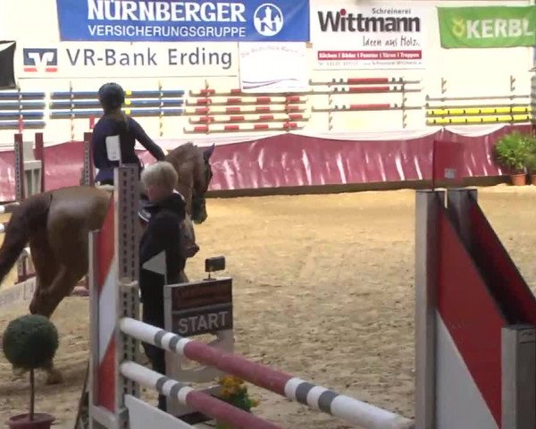 Reitturnier Eicherloh RH Laurent 2017