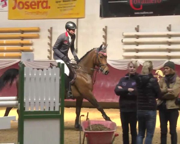 Reitturnier Eicherloh RH Laurent 2017