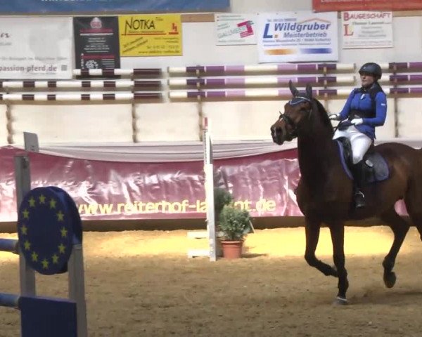 Reitturnier Eicherloh RH Laurent 2017
