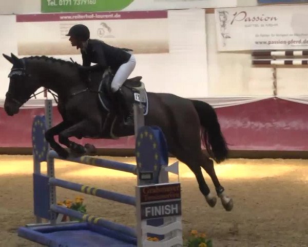 Reitturnier Eicherloh RH Laurent 2017