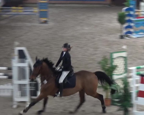 Reitturnier Grevenbroich - Gut Neuhaus 2017