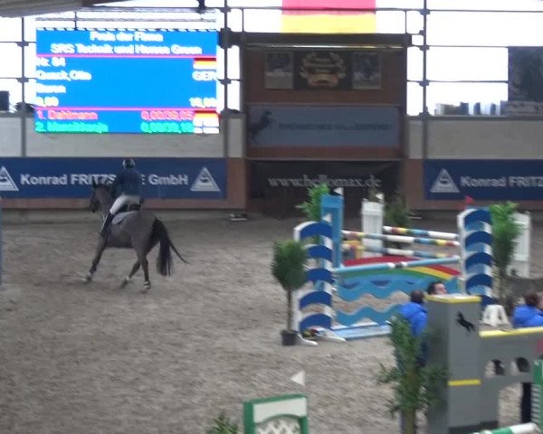 Reitturnier Grevenbroich - Gut Neuhaus 2017