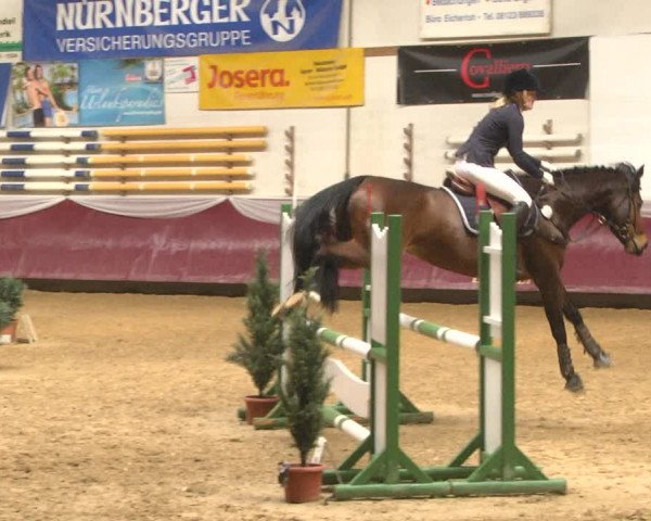 Reitturnier Eicherloh RH Laurent 2017