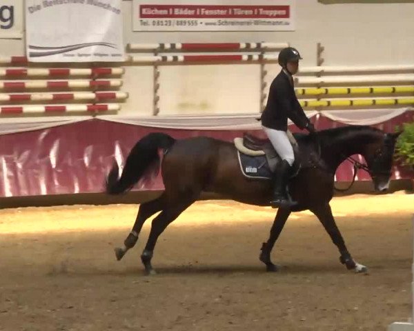 Reitturnier Eicherloh RH Laurent 2017