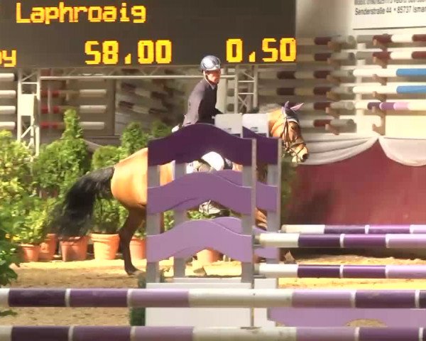 Reitturnier Eicherloh RH Laurent 2017