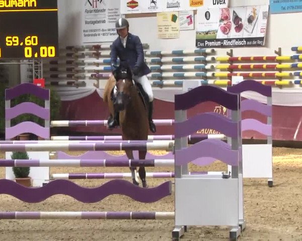 Reitturnier Eicherloh RH Laurent 2017