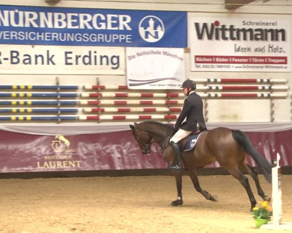 Reitturnier Eicherloh RH Laurent 2017