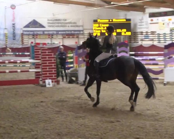 Reitturnier Eicherloh RH Laurent 2017