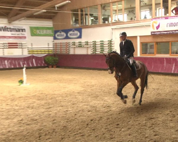 Reitturnier Eicherloh RH Laurent 2017