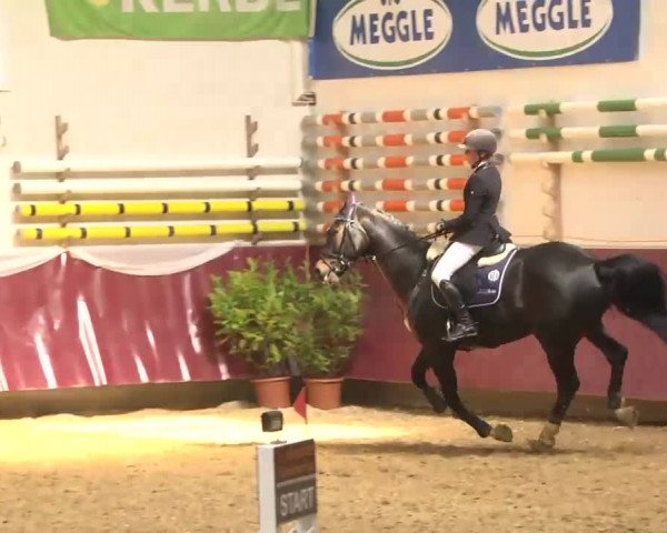 Reitturnier Eicherloh RH Laurent 2017