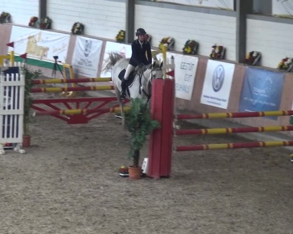 Reitturnier Grevenbroich - Gut Neuhaus 2017