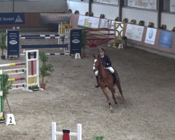Reitturnier Grevenbroich - Gut Neuhaus 2017