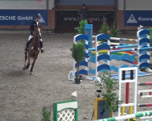 Reitturnier Grevenbroich - Gut Neuhaus 2017