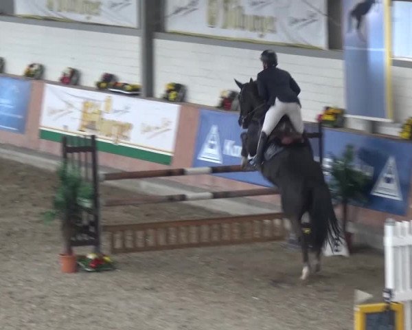 Reitturnier Grevenbroich - Gut Neuhaus 2017